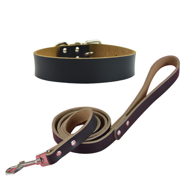 Pet Dog Big Collar and Leashes Sets