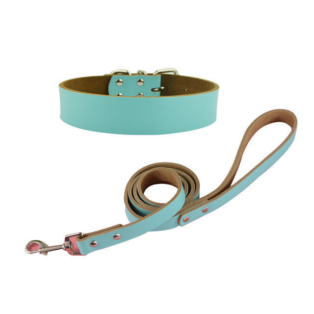 Pet Dog Big Collar and Leashes Sets