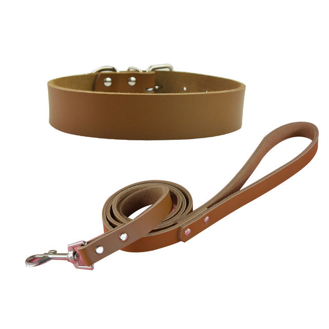Pet Dog Big Collar and Leashes Sets