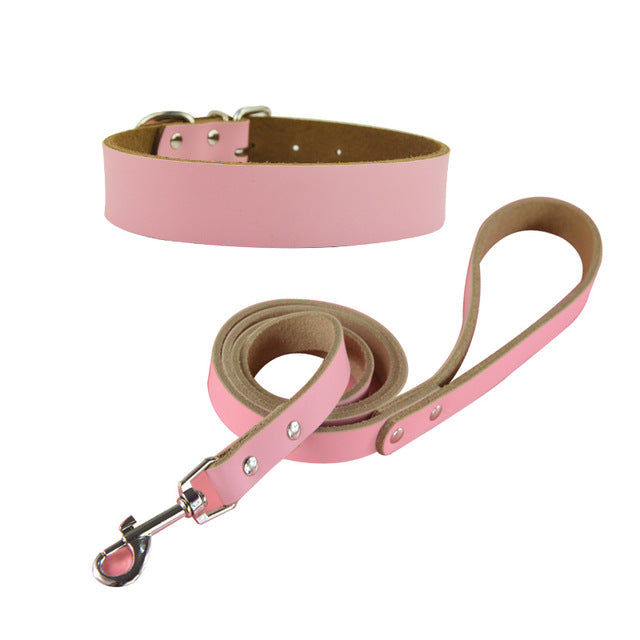 Pet Dog Big Collar and Leashes Sets