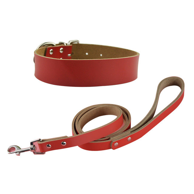 Pet Dog Big Collar and Leashes Sets