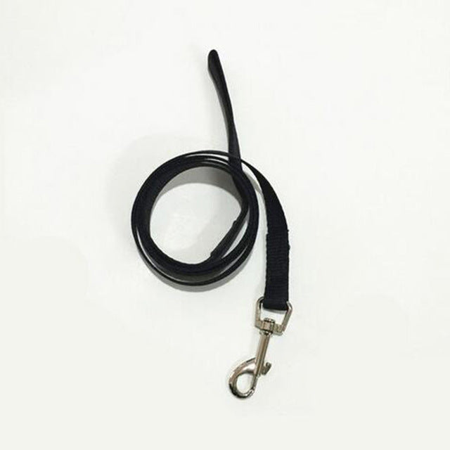 1Pc Pet Leash Small Dog Puppy Cat Rabbit Kitten