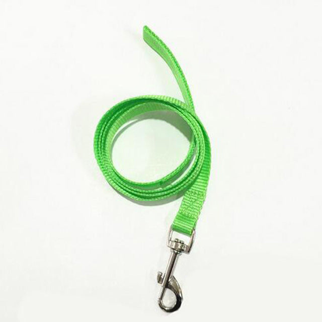 1Pc Pet Leash Small Dog Puppy Cat Rabbit Kitten