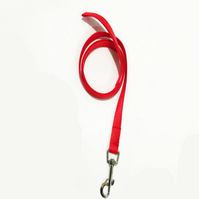 1Pc Pet Leash Small Dog Puppy Cat Rabbit Kitten