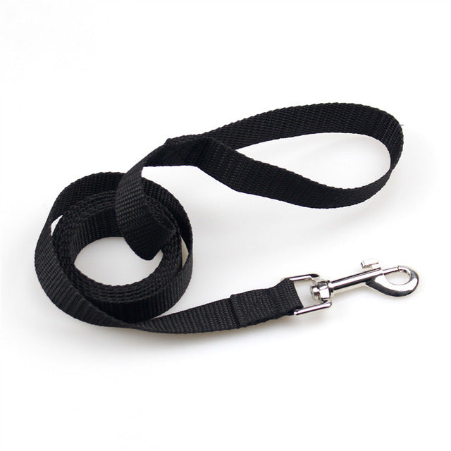Pet dog basic nylon Leashes for dogs 5 Colors