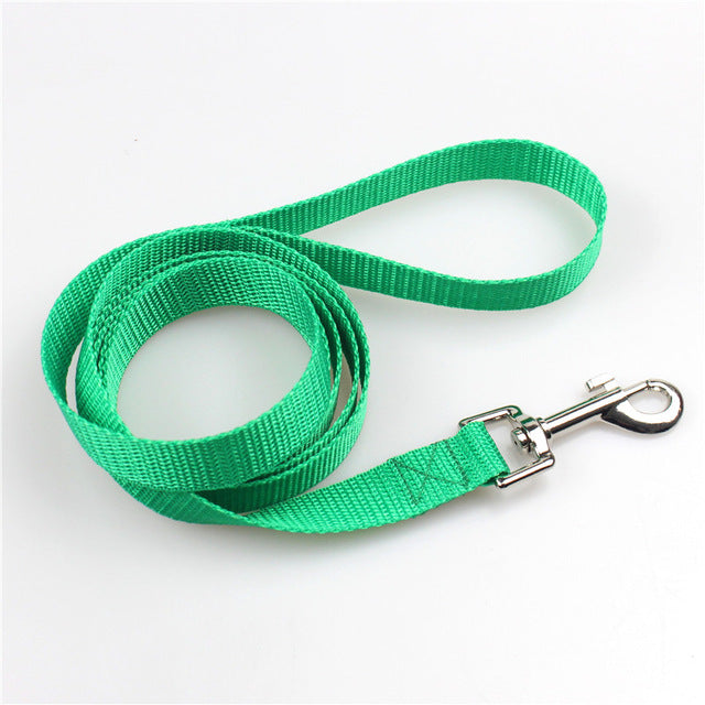 Pet dog basic nylon Leashes for dogs 5 Colors