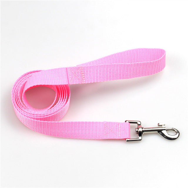 Pet dog basic nylon Leashes for dogs 5 Colors